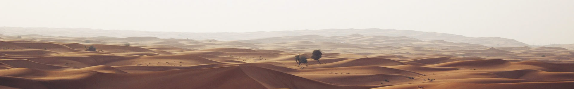 ݻӥ޹˾